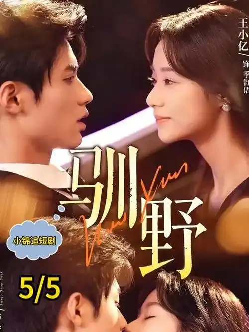 婚姻情感短剧签字前一夜剧照